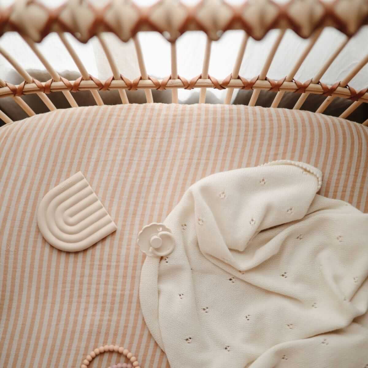 6-Pack Silicone Pacifier Box – Safe, Non-Toxic & Sustainable with soft blanket and toys | Babymaxi